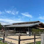 Hestar Husid, Het Luxe Paardenhuis *