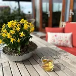Hestar Husid, Het Luxe Paardenhuis Apartment Weesp