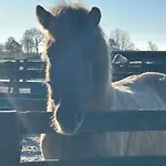 Hestar Husid, Het Luxe Paardenhuis *
