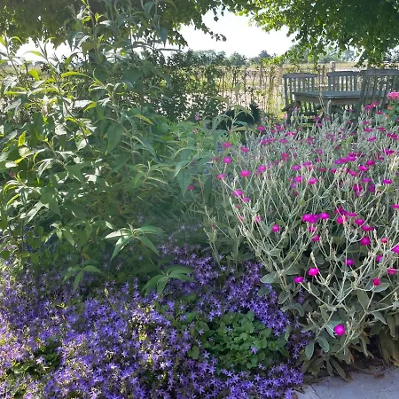 Hestar Husid, Het Luxe Paardenhuis Weesp