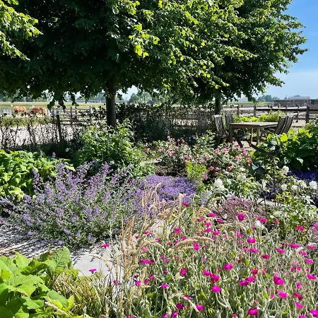 Hestar Husid, Het Luxe Paardenhuis Weesp