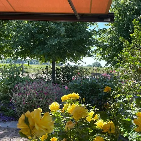 Hestar Husid, Het Luxe Paardenhuis *