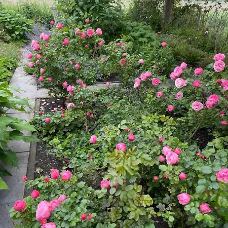 Hestar Husid, Het Luxe Paardenhuis Weesp