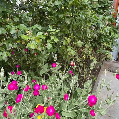 Hestar Husid, Het Luxe Paardenhuis Prázdninový dům *