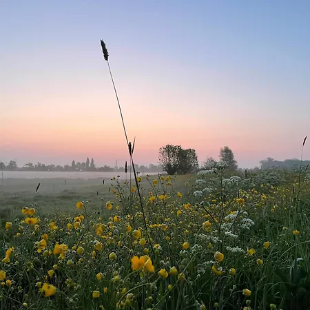 Hestar Husid, Het Luxe Paardenhuis Prázdninový dům Weesp