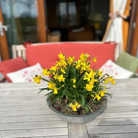 度假居 Hestar Husid, Het Luxe Paardenhuis 维斯普
