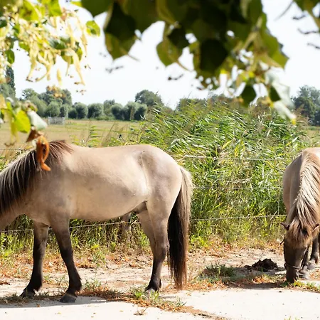 Hestar Husid, Het Luxe Paardenhuis Appartement