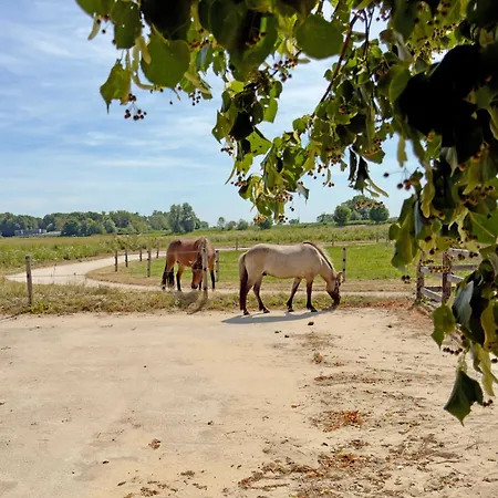 Hestar Husid, Het Luxe Paardenhuis