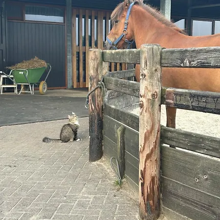Hestar Husid, Het Luxe Paardenhuis Lejlighed Weesp