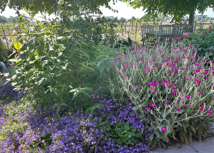 Hestar Husid, Het Luxe Paardenhuis ウェースプ