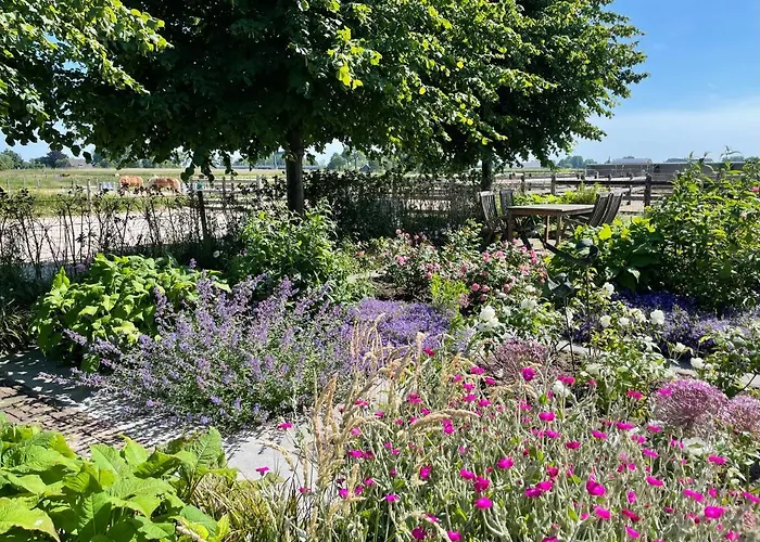 Hestar Husid, Het Luxe Paardenhuis Weesp