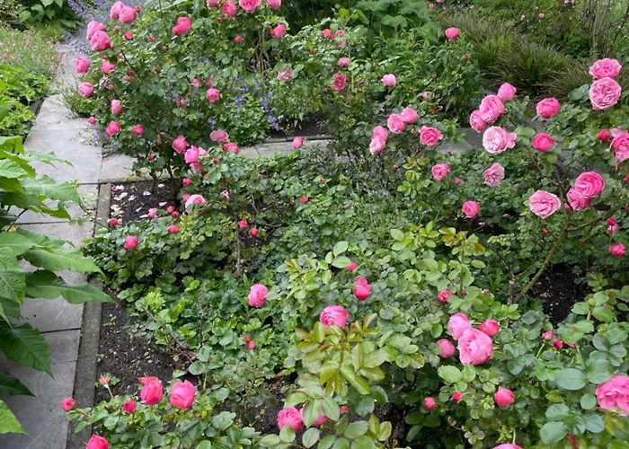 Hestar Husid, Het Luxe Paardenhuis Weesp