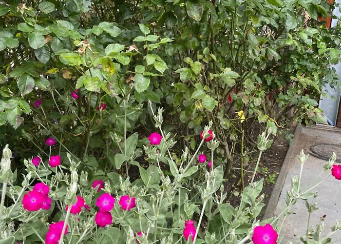 Hestar Husid, Het Luxe Paardenhuis アパート *