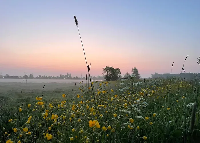 Hestar Husid, Het Luxe Paardenhuis Appartement Weesp