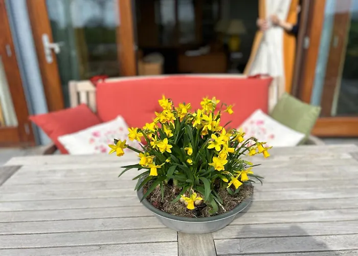 Appartement Hestar Husid, Het Luxe Paardenhuis Weesp