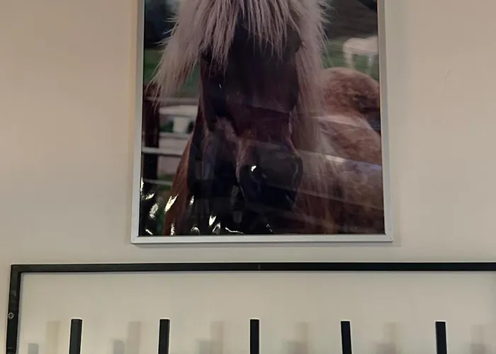 Hestar Husid, Het Luxe Paardenhuis Weesp