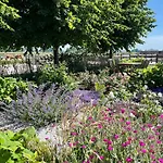 Hestar Husid, Het Luxe Paardenhuis Weesp